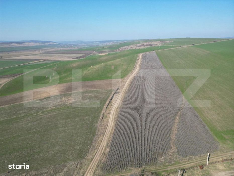 Teren de 4.5ha pretabil pentru panouri fotovoltaice, Dobrovat