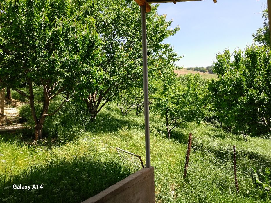 Галавасой паселкаси Тогизкол кучаси 8 чи уй котта ховли уй 24 сотик