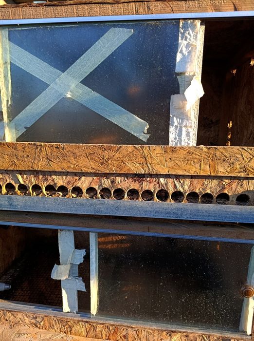 Продам Брудер для цыплят