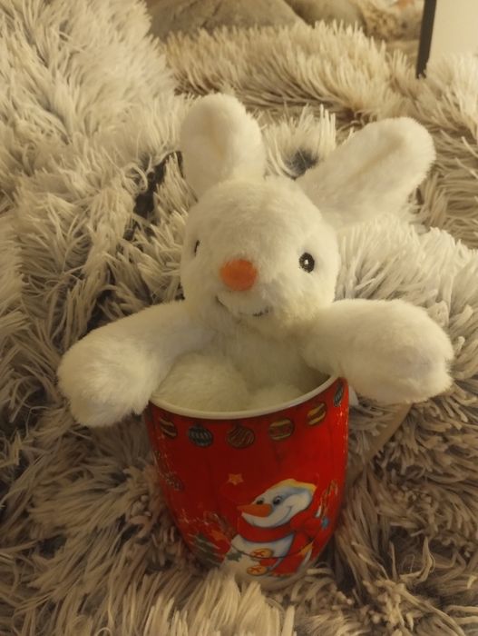 Vand cana de Craciun cu jucarie noi -cadou