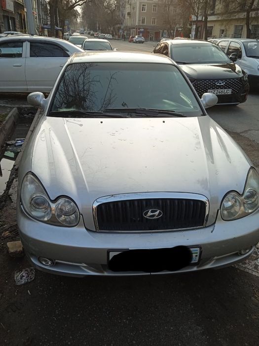 Hyundal holati yahwi