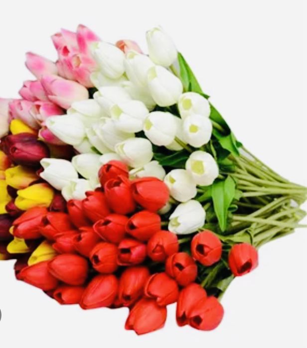 Реалистичные цветки тюльпана