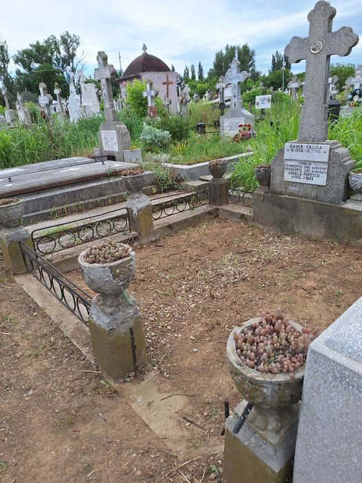 Loc de veci Cimitirul 'Adormirea Maicii Domnului' Calea Giulesti nr 335, langa Institutul Pasteur, tramvai 11,44,autobuz 162,163