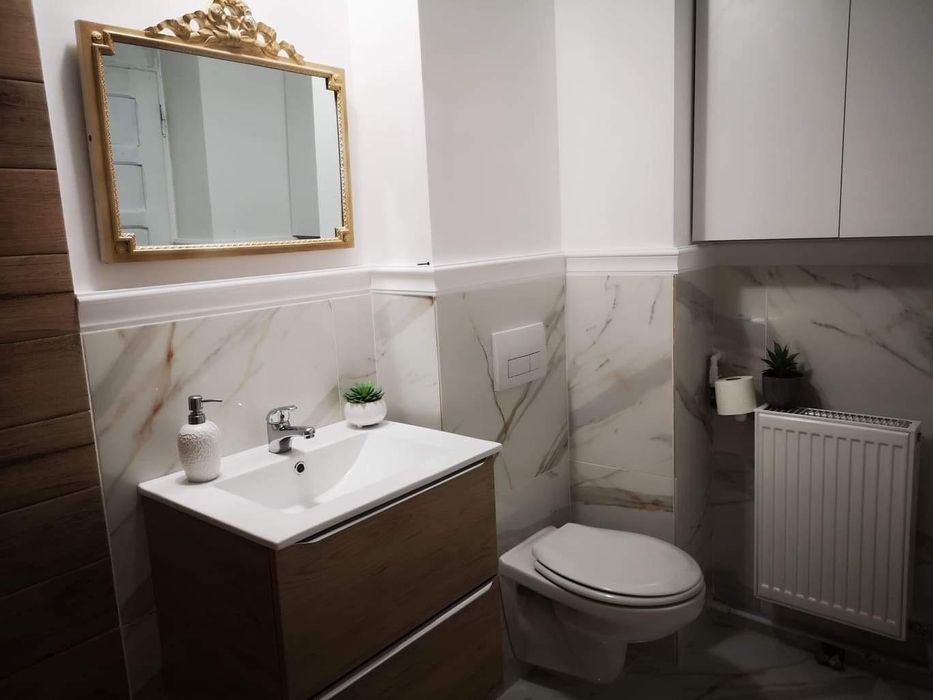 Inchiriez apartament 1 camera Vlaicu