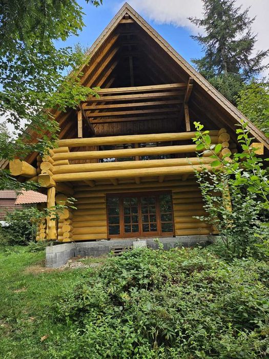 casa din busteni de vanzare