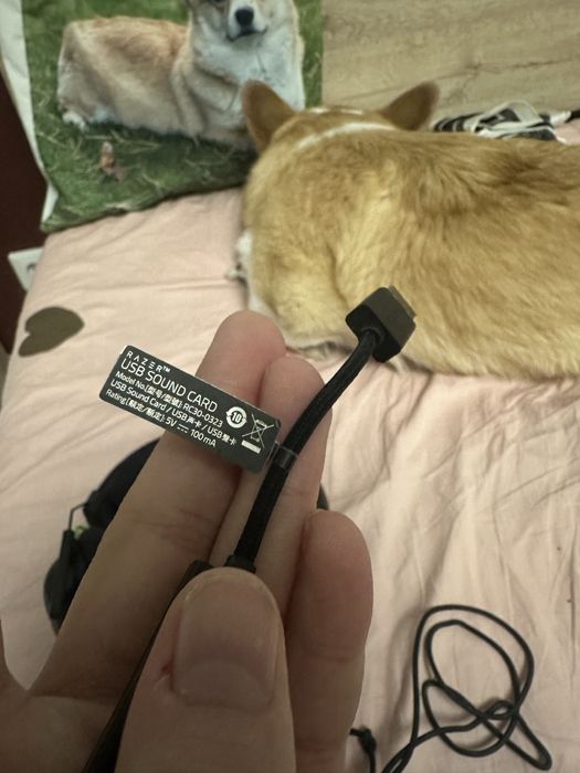 Razer Blackshark V2 +  Razer Usb Sound Card