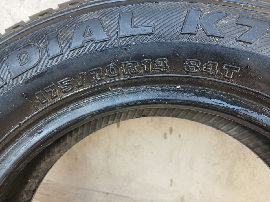 Жазғы дөңгелектер