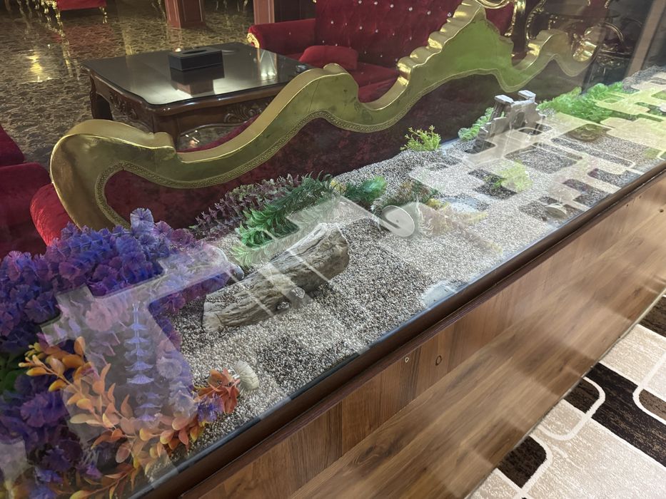 Аквариум продам срочно