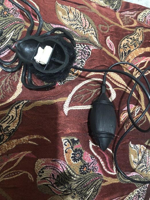 Паук и таракан игрушка