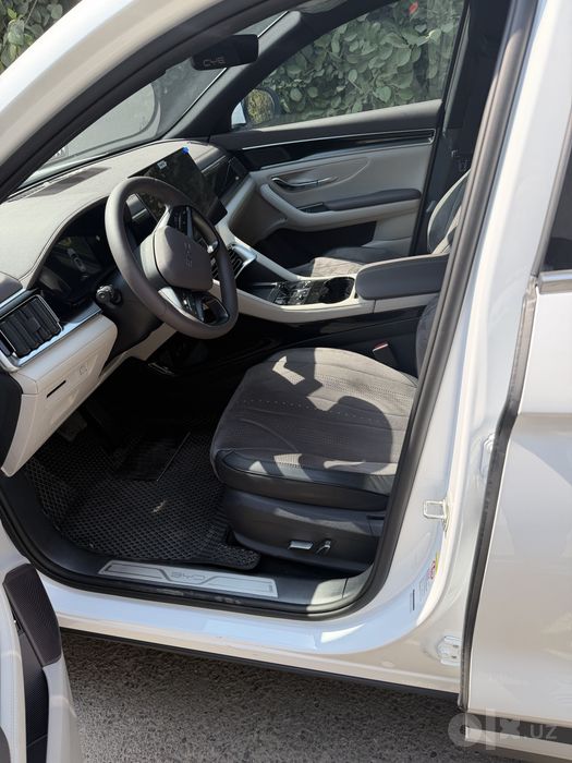 BYD chimpion smart