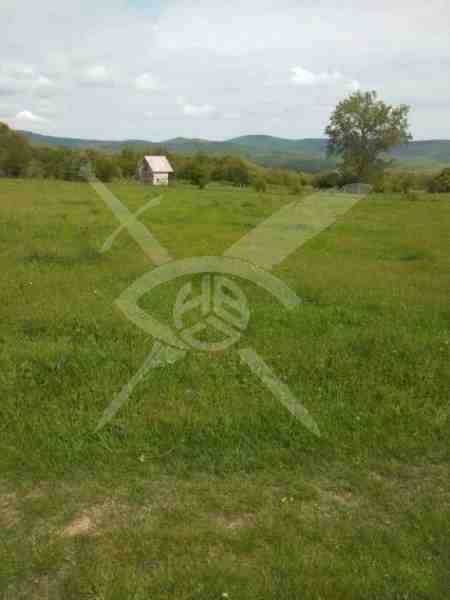 Продава се Парцел в с. Визица, Област Бургас - 4150 кв.м за 8 €/кв.м - Снимка #1