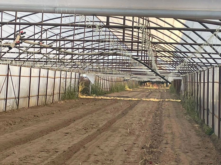 Продава се Земеделски имот в с. Триводици, Област Пловдив -  кв.м за 16490 €/дка - Снимка #2