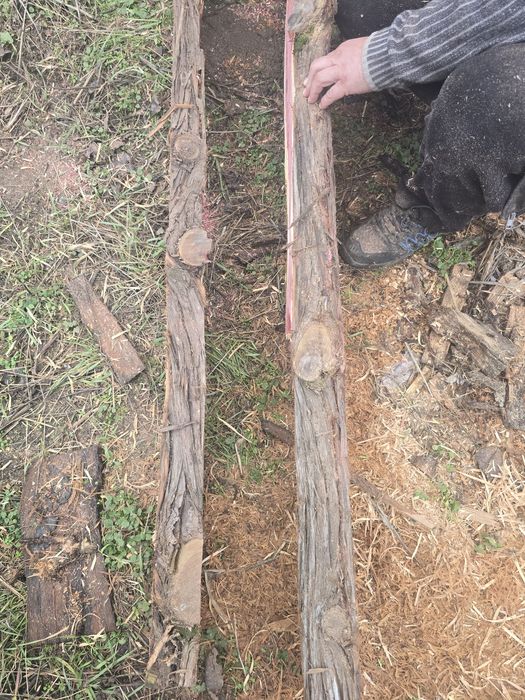 Vând 2 buc lemn de cedru pentru masa epoxy