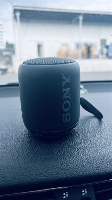 Sony SRS-XB10 Тонколонка