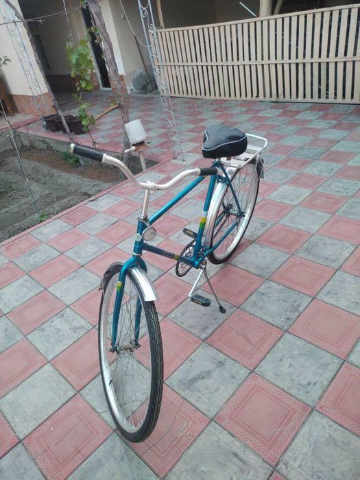 Kattalar velosipedi sotiladi.