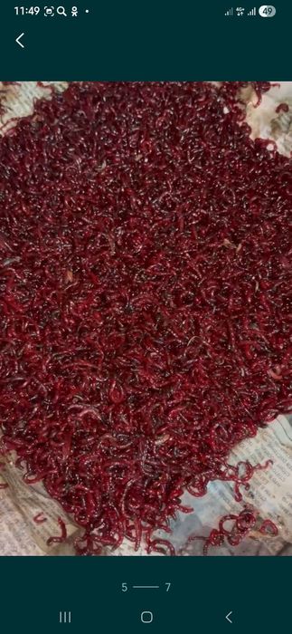 Барахолка рыбака