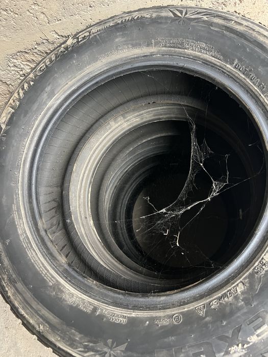 Комплект шин, зимнии