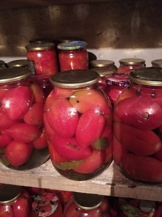 Соленые огурцы и помидоры