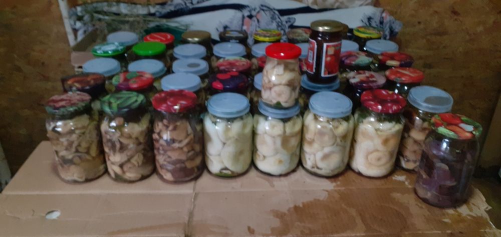 Засолка домашняя