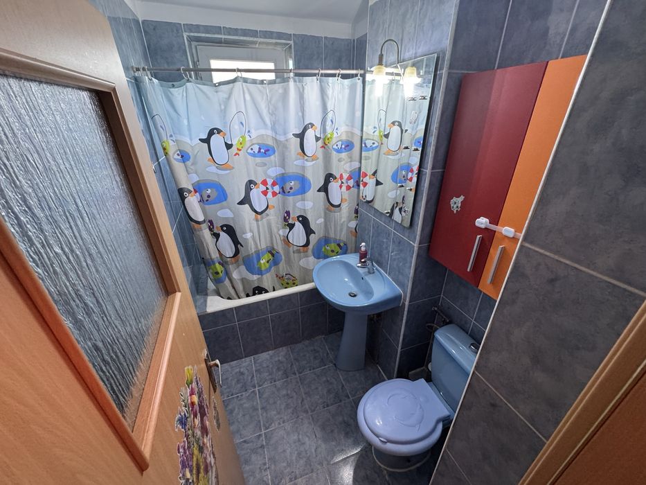 Dau in chirie apartament ,se acceptă animal de companie talie medie/mică