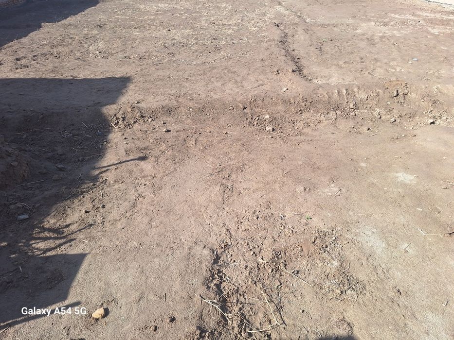 Joy plon sotlad manzl xiyva yo'l versal to'yxona orti