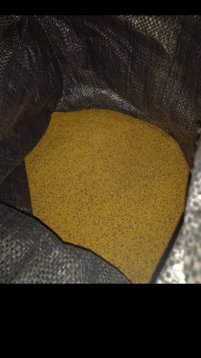 Български сорт люцерна семе