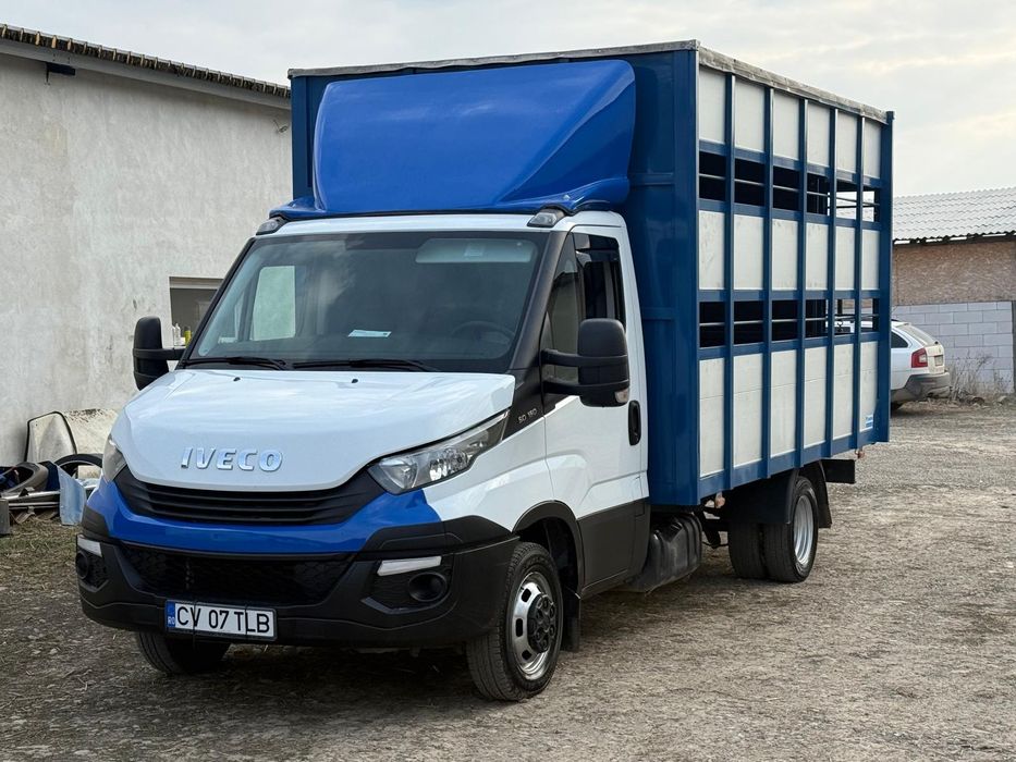 Iveco Daily Transport animale vii
