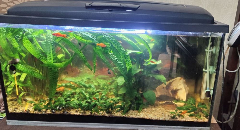 Продавам аквариум