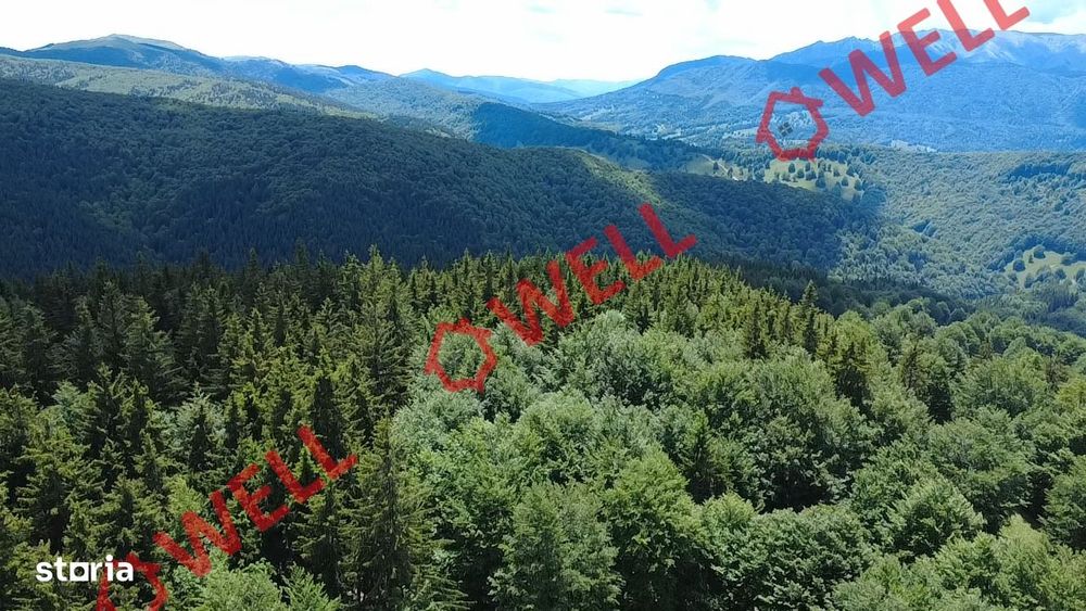 Pădure de vânzare în Vama Buzăului, sat Buzăiel!