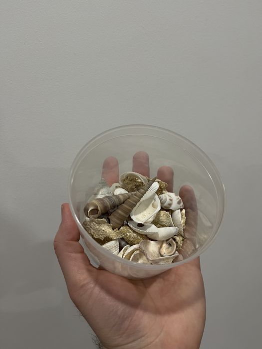 Аквариум 10 л всё для старта