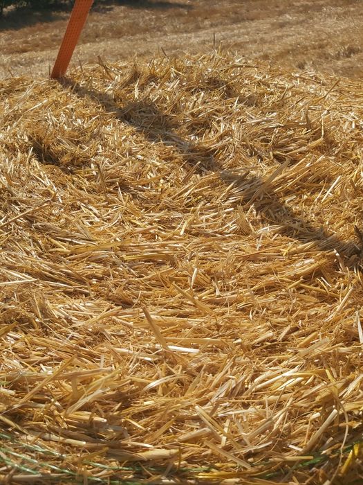 Продавам бали сено и чиста люцерна