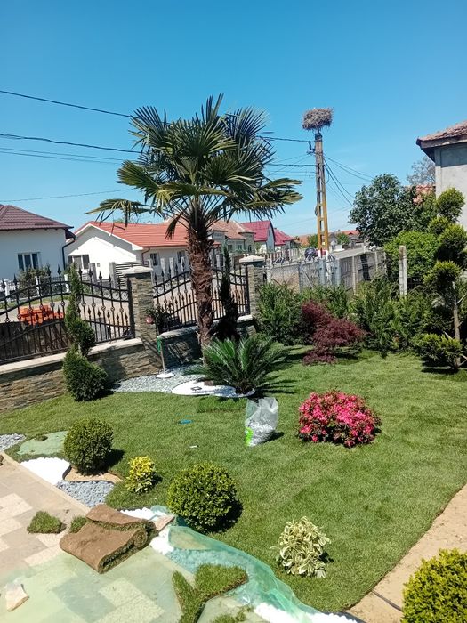 Plante irigatii gazon