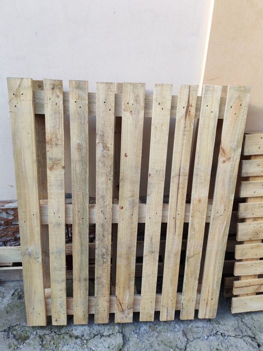 Paddon 2 ta xolati zor