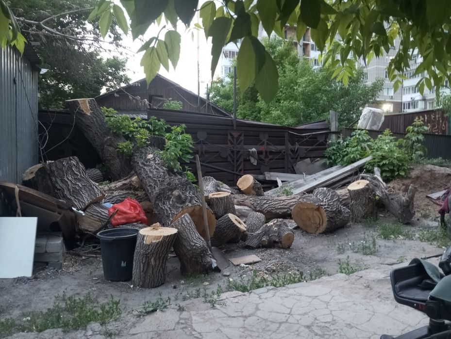 Отдам даром бесплатно