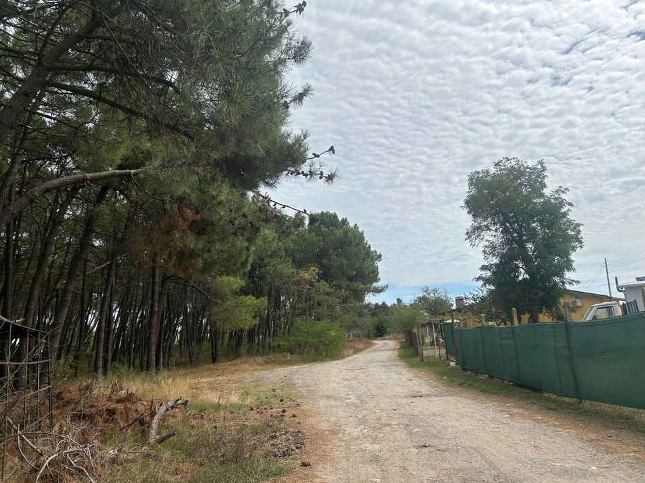 Продава се Парцел в Варна, м-т Боровец - север - 1290 кв.м за 36 €/кв.м - Снимка #3