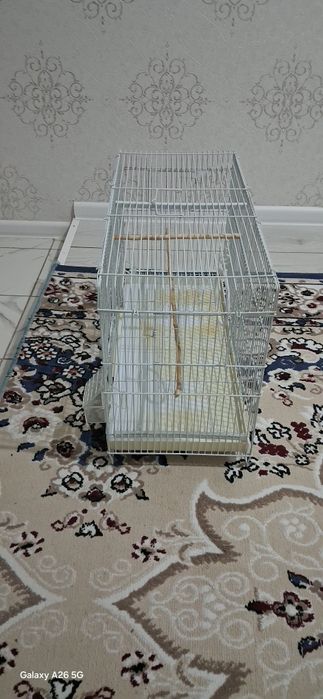 Клетка сатылады.