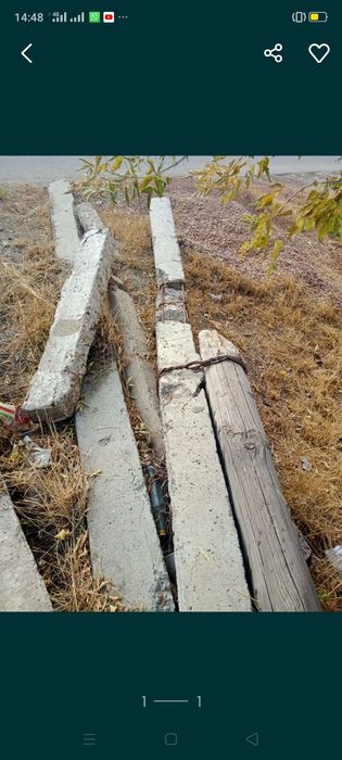 Пасынки , столбы