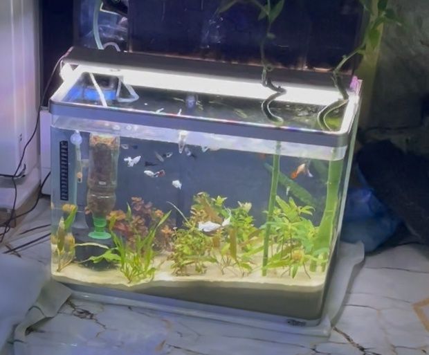 Заводской аквариум