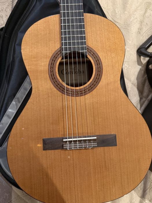 Классическая гитара Cordoba