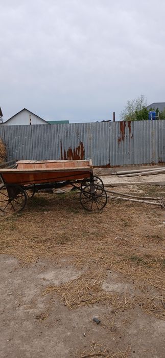 продам Ишака С Телегой!