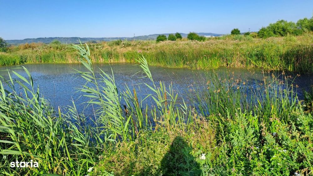 Teren de 6000 mp, vizavi de gara din Filiasi