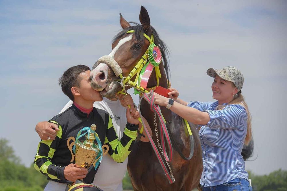 Тренинг скаковых лошадей