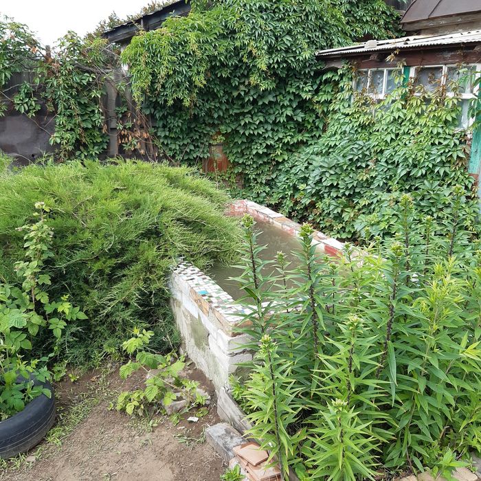 Продам дачу,сад Здоровье.