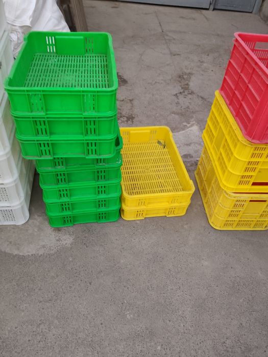 Plasmasa yashikla bor