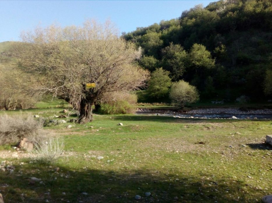 Земельный участок под бизнес