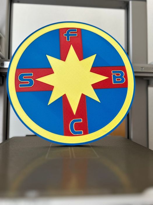 Emblema Pro FCSB 24 x 24 cm