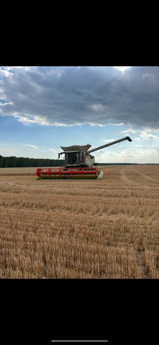 Prestari servicii agricole de recoltat,grau,floarea soarelui,porumb
