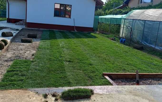 Gazonul Rulou Premium - Perfect pentru Casa Ta!