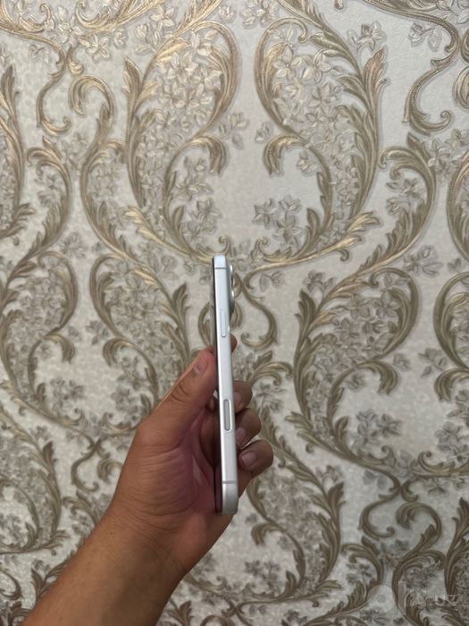 Iphone 17 Pro Max Apple Storedan olingan