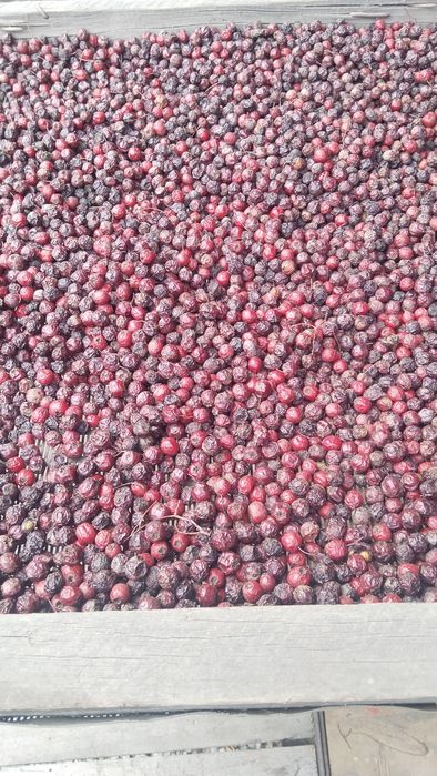 Спелая Боярка для здоровья.